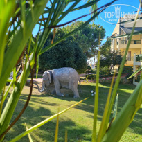 фото из отзыва ID 2654478