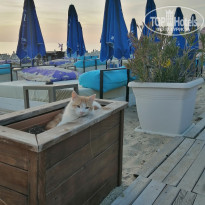 фото из отзыва ID 2654630