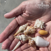 фото из отзыва ID 2654649