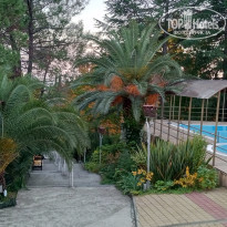 фото из отзыва ID 2654657