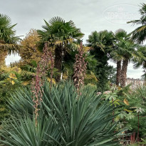 фото из отзыва ID 2654657