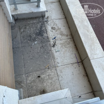 фото из отзыва ID 2653841