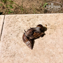 фото из отзыва ID 2654692