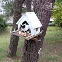 фото из отзыва ID 2654657