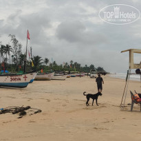 фото из отзыва ID 2654759