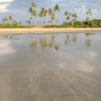 фото из отзыва ID 2654759