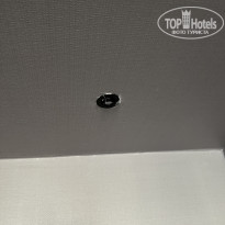 фото из отзыва ID 2654803