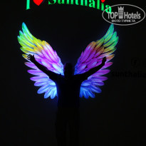 фото из отзыва ID 2654783