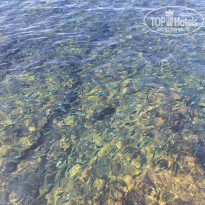 фото из отзыва ID 2654818