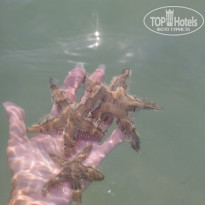 фото из отзыва ID 2654850