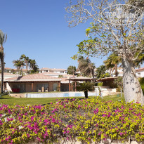 фото из отзыва ID 2654945