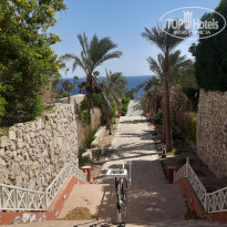 фото из отзыва ID 2654945