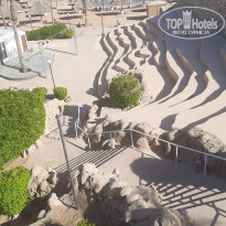 фото из отзыва ID 2654945