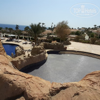 фото из отзыва ID 2654945