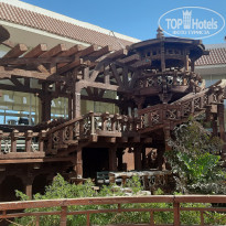 фото из отзыва ID 2654945