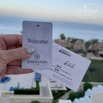 фото из отзыва ID 2654945