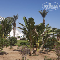 фото из отзыва ID 2654945