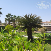 фото из отзыва ID 2654945