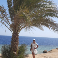 фото из отзыва ID 2654945