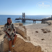 фото из отзыва ID 2654945