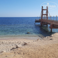 фото из отзыва ID 2654945