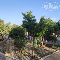 фото из отзыва ID 2654964