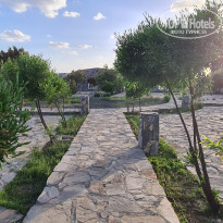 фото из отзыва ID 2654964