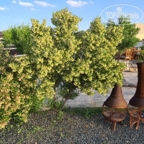 фото из отзыва ID 2654964