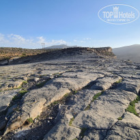 фото из отзыва ID 2654964