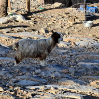 фото из отзыва ID 2654964