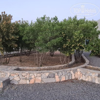 фото из отзыва ID 2654964