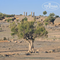 фото из отзыва ID 2654964