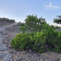 фото из отзыва ID 2654964