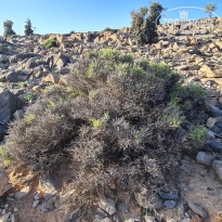 фото из отзыва ID 2654964