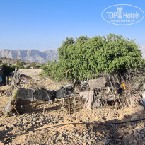 фото из отзыва ID 2654964