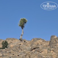 фото из отзыва ID 2654964