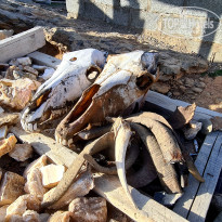 фото из отзыва ID 2654964