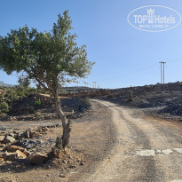 фото из отзыва ID 2654964