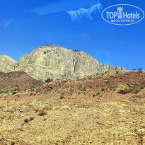 фото из отзыва ID 2654964