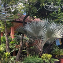 фото из отзыва ID 2654992