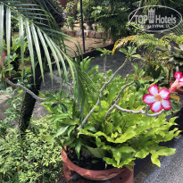 фото из отзыва ID 2654992