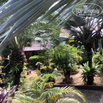 фото из отзыва ID 2654992