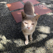 фото из отзыва ID 2654992