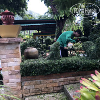 фото из отзыва ID 2654992