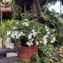 фото из отзыва ID 2654992