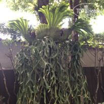 фото из отзыва ID 2654992