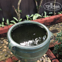 фото из отзыва ID 2654992