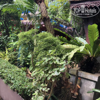 фото из отзыва ID 2654992