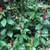 фото из отзыва ID 2654992