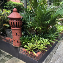 фото из отзыва ID 2654992